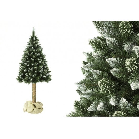 Vianočný stromček Borovica na kmeni 180 cm + stojan