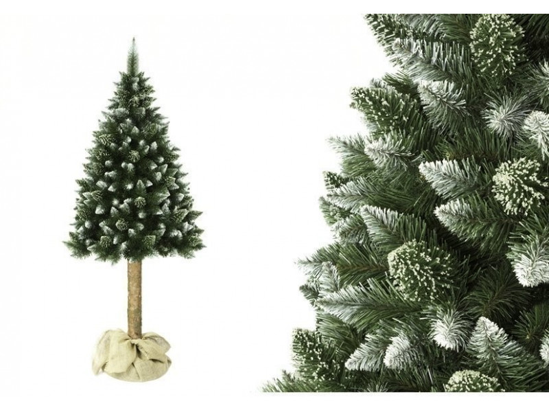 Vianočný stromček Borovica na kmeni 220 cm + stojan