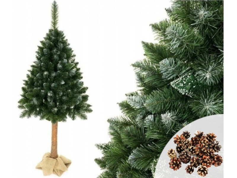Vianočný stromček borovica na kmeni 160 cm + stojan,šišky